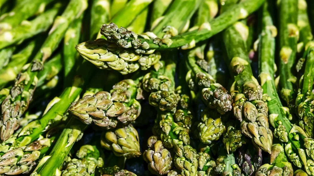 مارچوبه هالاو